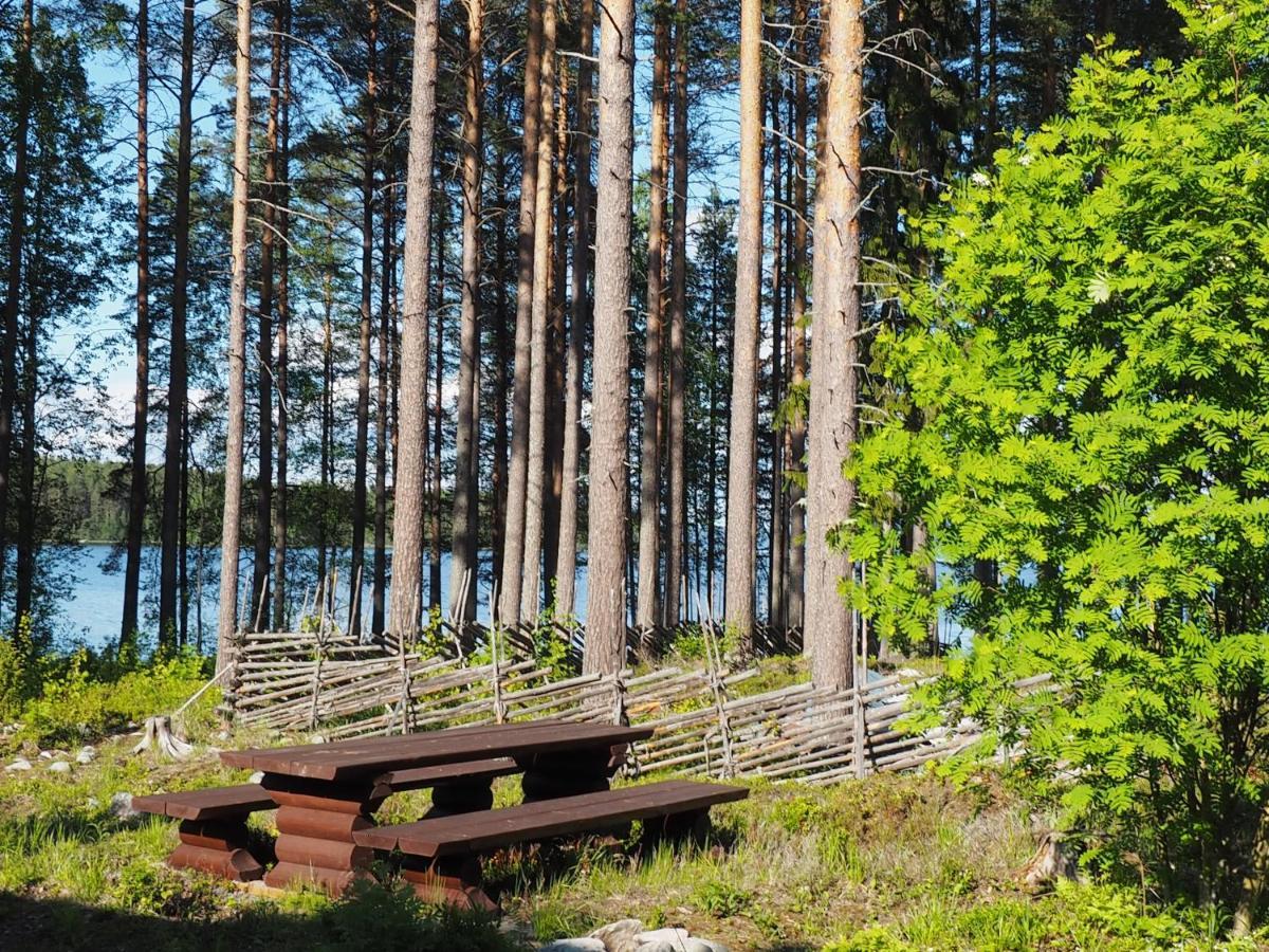Aalto Koli Villa Kolinkylä Dış mekan fotoğraf