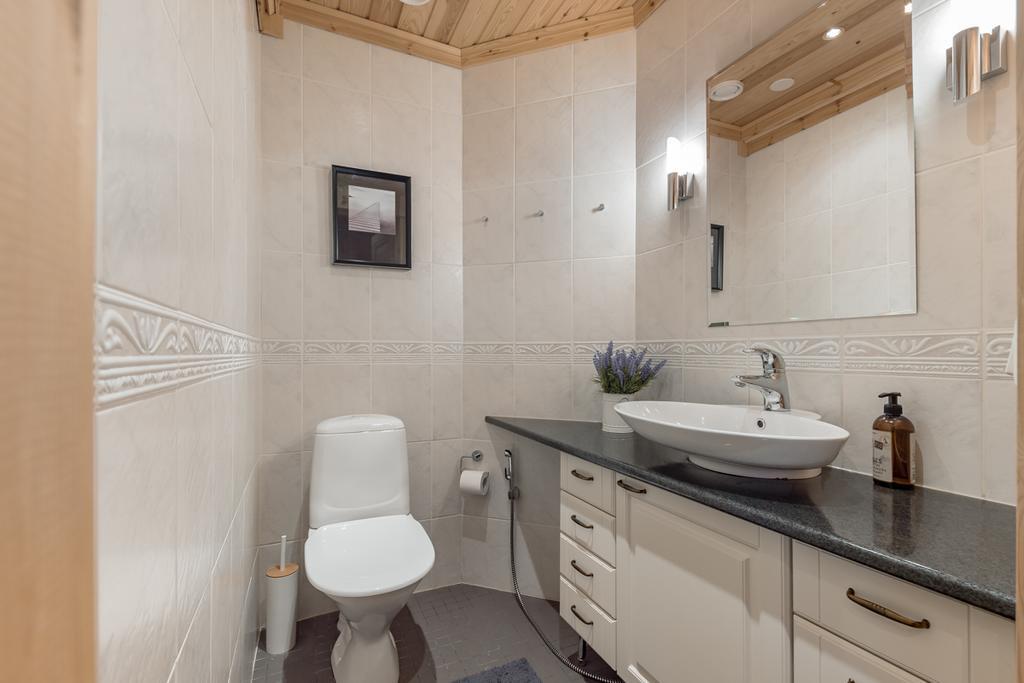 Aalto Koli Villa Kolinkylä Dış mekan fotoğraf